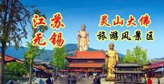 性爱视频网站羞羞污污江苏无锡灵山大佛旅游风景区