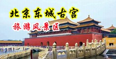 欧美啊啊插我中国北京-东城古宫旅游风景区